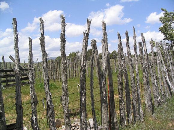 stick fence