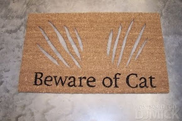 beware of cat