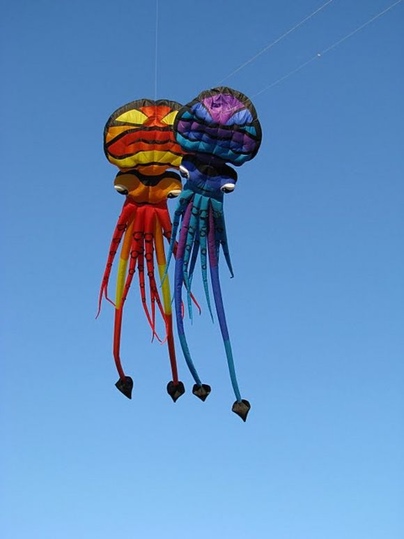 medusa kite