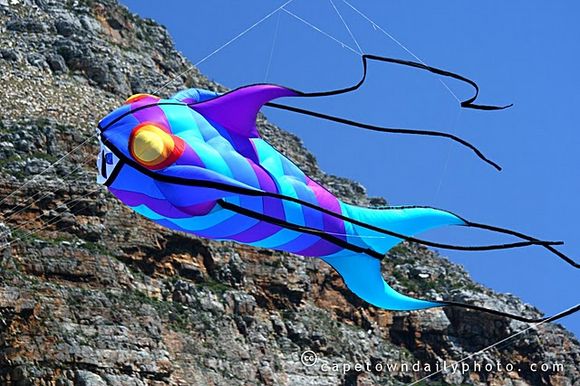Fish kite