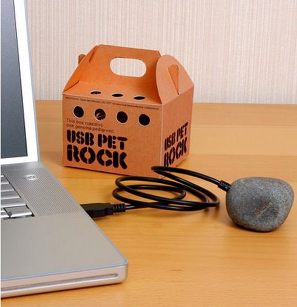 usb pet rock