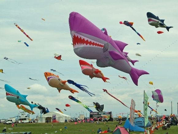 several shark kites under the clouds
