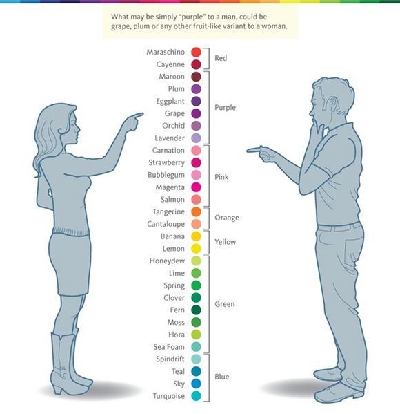 chart showing man and woman brain when they talk about collors