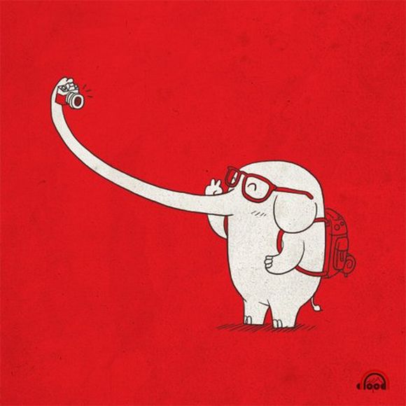 easy selfie for elephant
