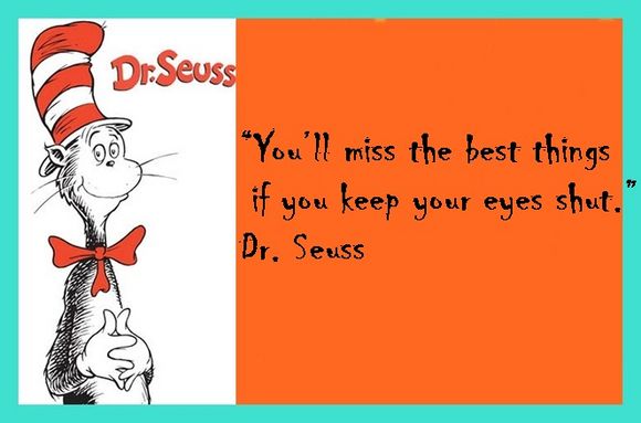 you'll miss the best things if you keep your eyes shut dr seuss