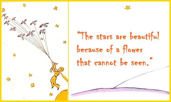 the stars are beautiful because of a flower that cannow be seen 