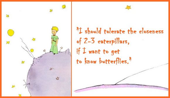 i should tolerate the closeness od 2 3 caterpillars if i want to get to know butterflies