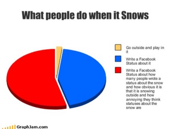 Funny Pie Charts