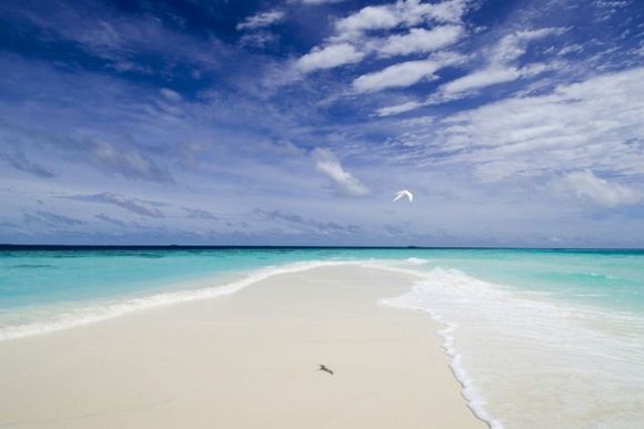 maldives15