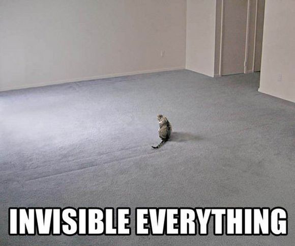 invisible11