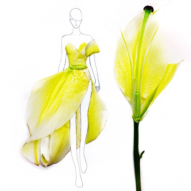 Grace Ciao flower dresses16