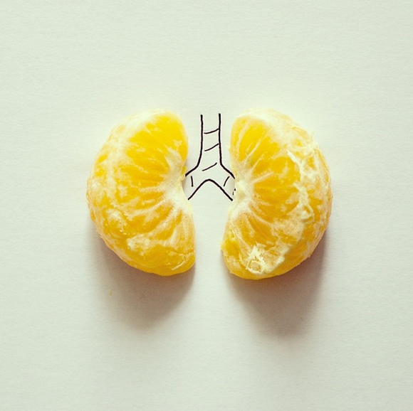 Illustrations merge with everyday objects by Javier Perez