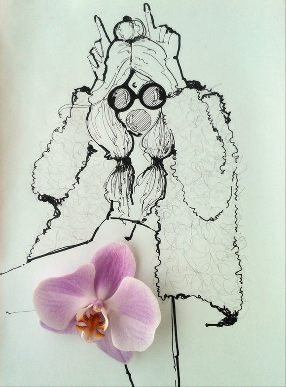 illustrations combined with flowers