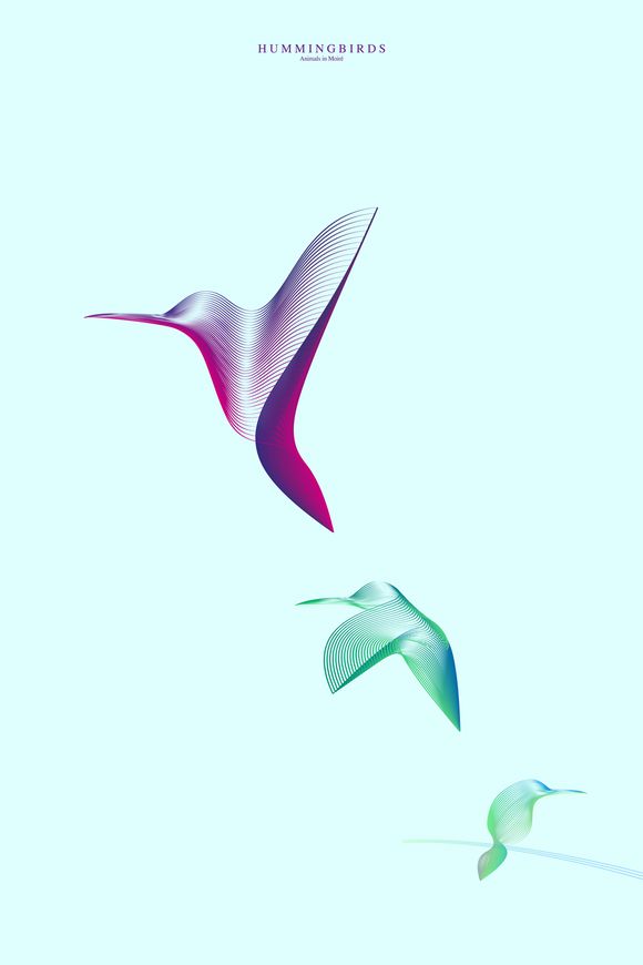 hummingbirds illustration moire pattern by Andrea Minini