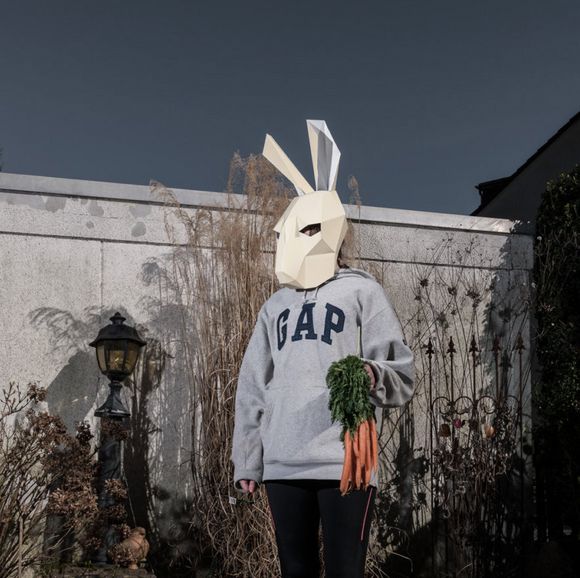 rabbit 3D paper mask for Halloween