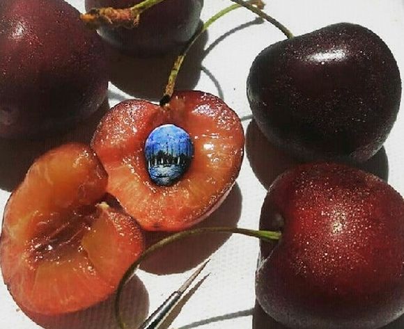 micro art on a cherry seed 