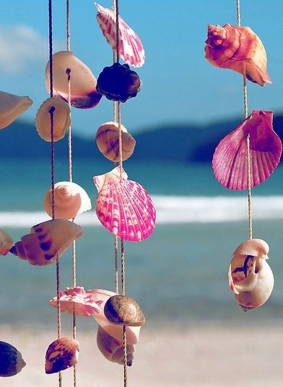 beach shell decorative ideas