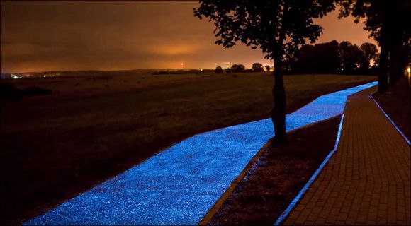 Gorgeous glowing bike path in Poland